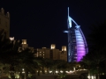 SAM_2195