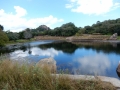 DSCN6639