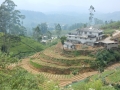 DSCN7347