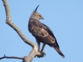 DSCN7559