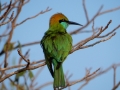 DSCN7586