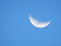 DSCN7770