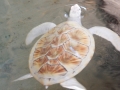 DSCN7905