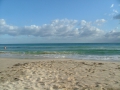 DSCF0883