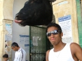 DSCF0960