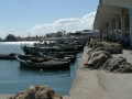 DSCF0977