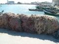 DSCF0978