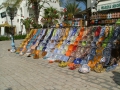 DSCF1009
