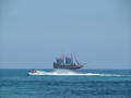 DSCF1055